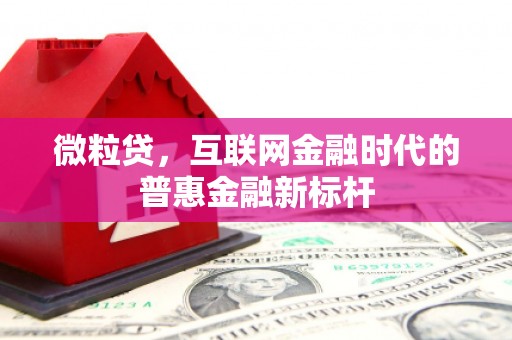 班戈微粒贷，互联网金融时代的普惠金融新标杆