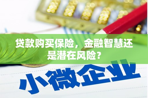 班戈贷款购买保险，金融智慧还是潜在风险？