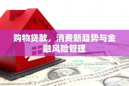 班戈购物贷款，消费新趋势与金融风险管理