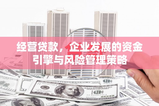 班戈经营贷款，企业发展的资金引擎与风险管理策略