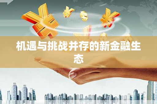 班戈机遇与挑战并存的新金融生态