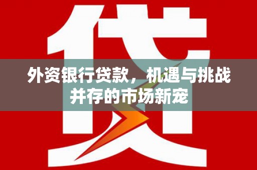 班戈外资银行贷款，机遇与挑战并存的市场新宠