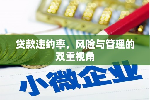 班戈贷款违约率，风险与管理的双重视角