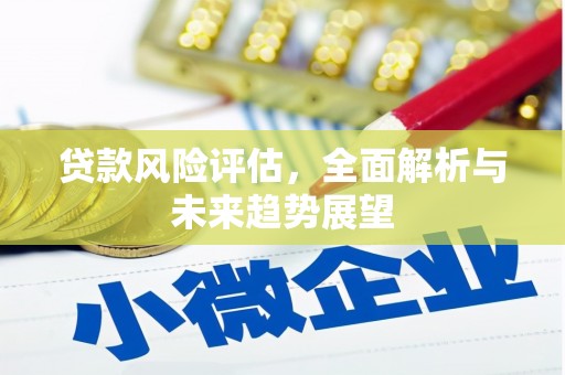 班戈贷款风险评估，全面解析与未来趋势展望