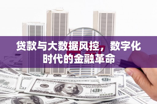 班戈贷款与大数据风控，数字化时代的金融革命