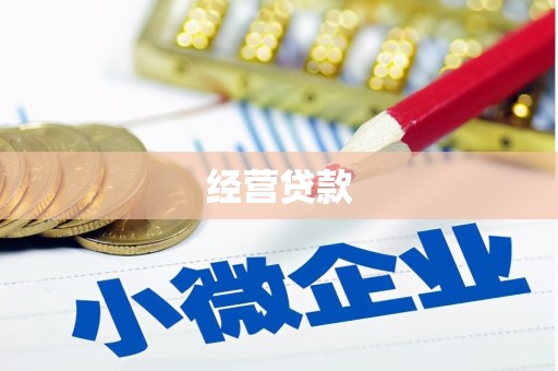 班戈经营贷款