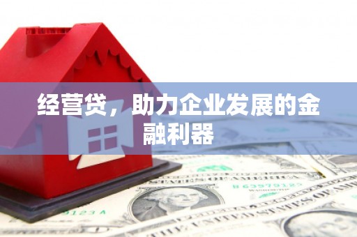 班戈经营贷，助力企业发展的金融利器