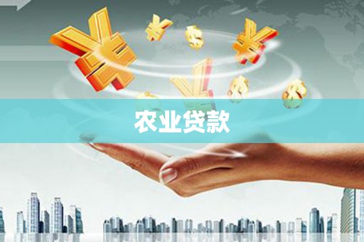 班戈农业贷款