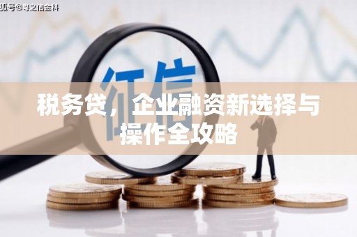 班戈税务贷，企业融资新选择与操作全攻略