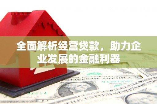 班戈全面解析经营贷款，助力企业发展的金融利器