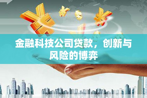 班戈金融科技公司贷款，创新与风险的博弈