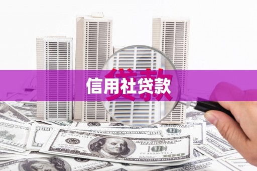 班戈信用社贷款