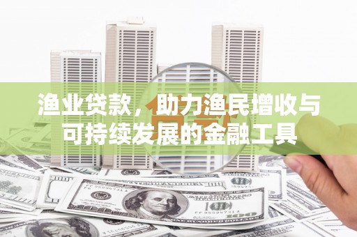 班戈渔业贷款，助力渔民增收与可持续发展的金融工具