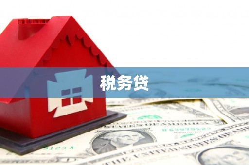 班戈税务贷