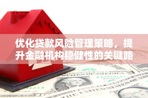 班戈优化贷款风险管理策略，提升金融机构稳健性的关键路径