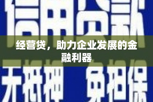 班戈经营贷，助力企业发展的金融利器