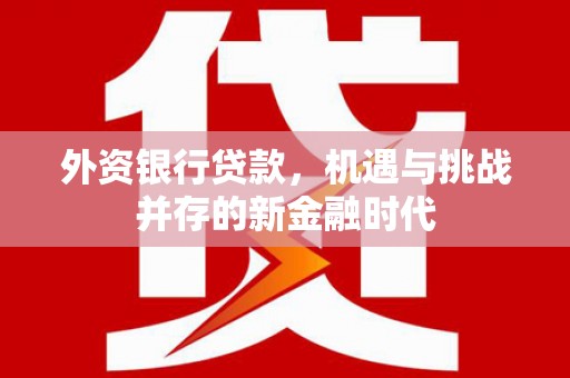 班戈外资银行贷款，机遇与挑战并存的新金融时代