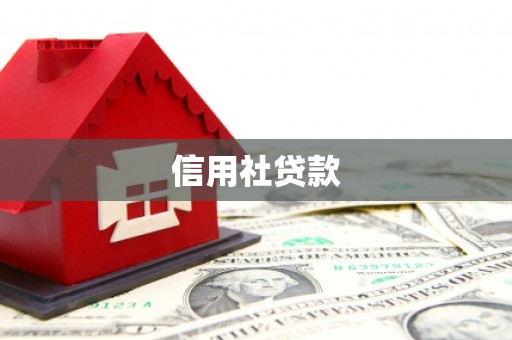 班戈信用社贷款