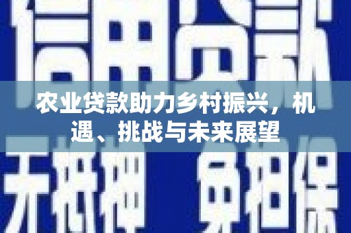班戈农业贷款助力乡村振兴，机遇、挑战与未来展望