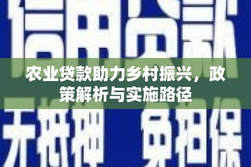 班戈农业贷款助力乡村振兴，政策解析与实施路径