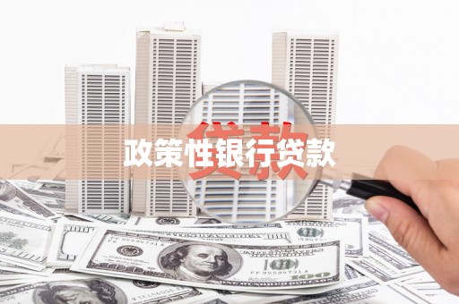 班戈政策性银行贷款