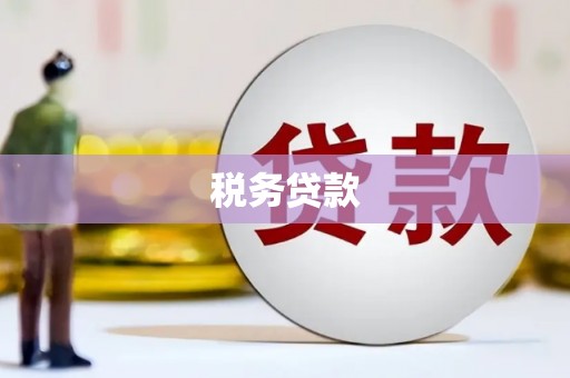 班戈税务贷款