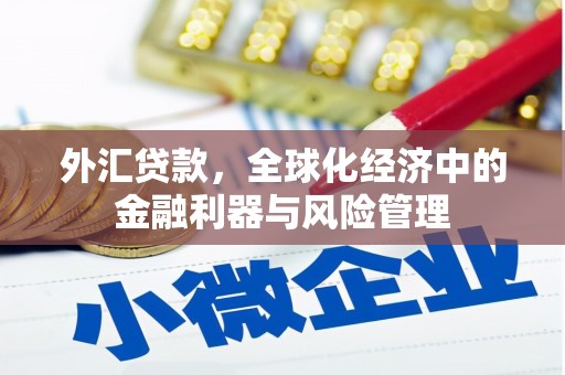班戈外汇贷款，全球化经济中的金融利器与风险管理