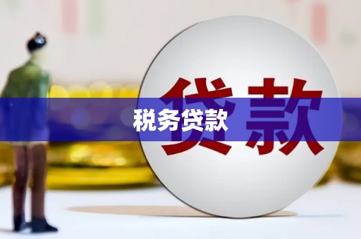 班戈税务贷款