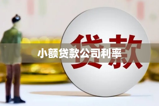 班戈小额贷款公司利率