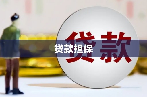 班戈贷款担保