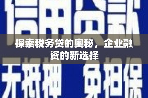 班戈探索税务贷的奥秘，企业融资的新选择