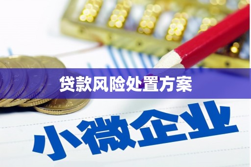 班戈贷款风险处置方案