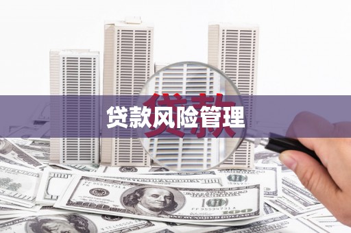 班戈贷款风险管理