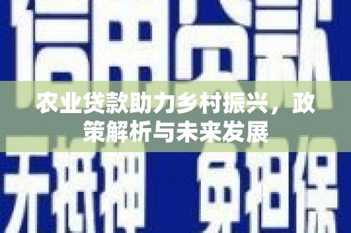 班戈农业贷款助力乡村振兴，政策解析与未来发展