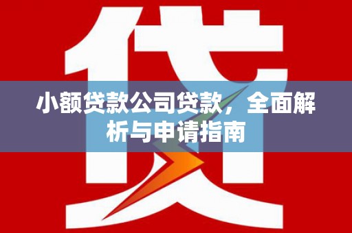 班戈小额贷款公司贷款，全面解析与申请指南