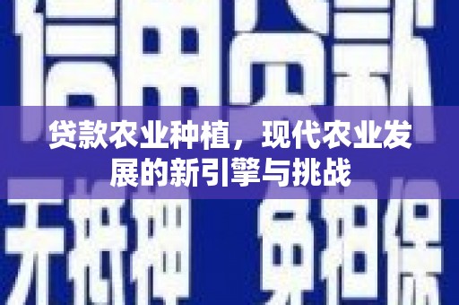 班戈贷款农业种植，现代农业发展的新引擎与挑战