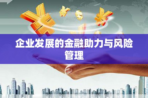 班戈企业发展的金融助力与风险管理