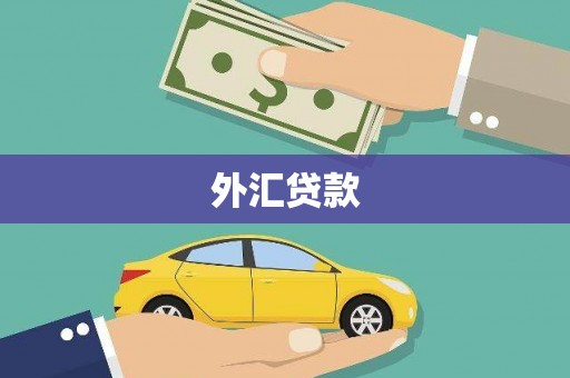 班戈外汇贷款