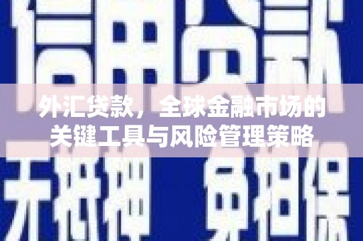 班戈外汇贷款，全球金融市场的关键工具与风险管理策略