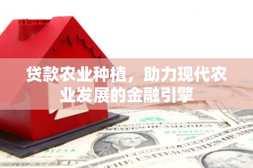 班戈贷款农业种植，助力现代农业发展的金融引擎