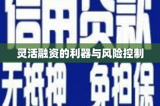 班戈灵活融资的利器与风险控制