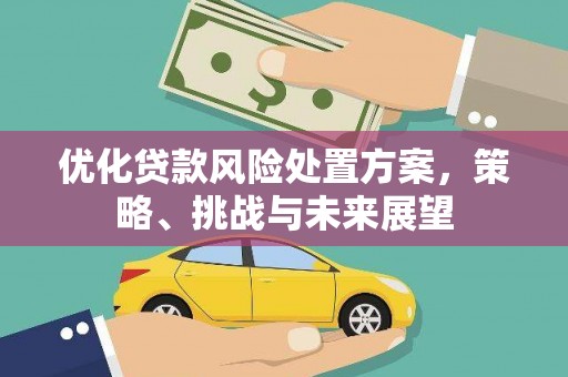 班戈优化贷款风险处置方案，策略、挑战与未来展望