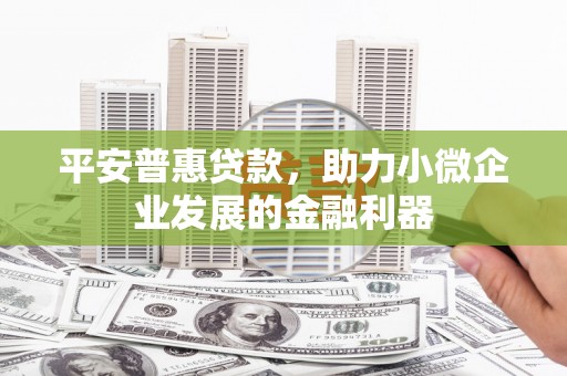 班戈平安普惠贷款，助力小微企业发展的金融利器