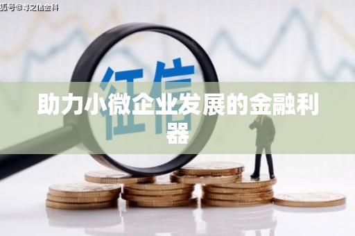 班戈助力小微企业发展的金融利器
