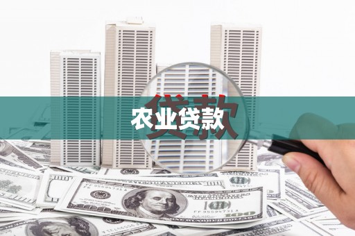 班戈农业贷款