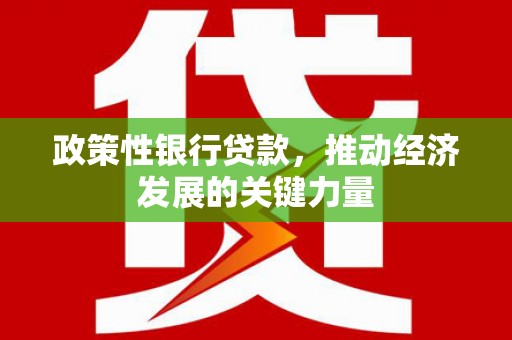 班戈政策性银行贷款，推动经济发展的关键力量