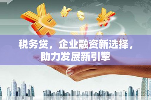 班戈税务贷，企业融资新选择，助力发展新引擎
