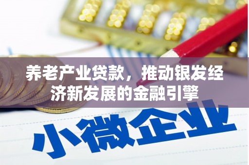 班戈养老产业贷款，推动银发经济新发展的金融引擎
