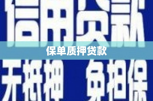 班戈保单质押贷款