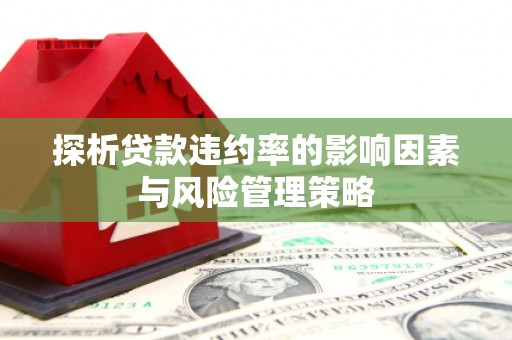 班戈探析贷款违约率的影响因素与风险管理策略